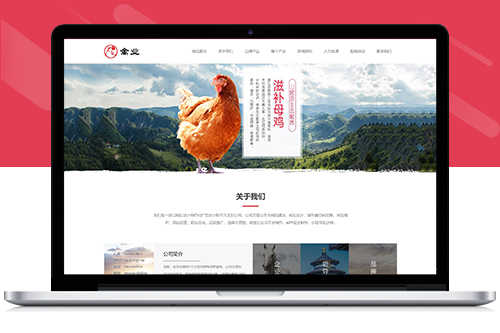 家禽饲养基地养殖行业网站模板